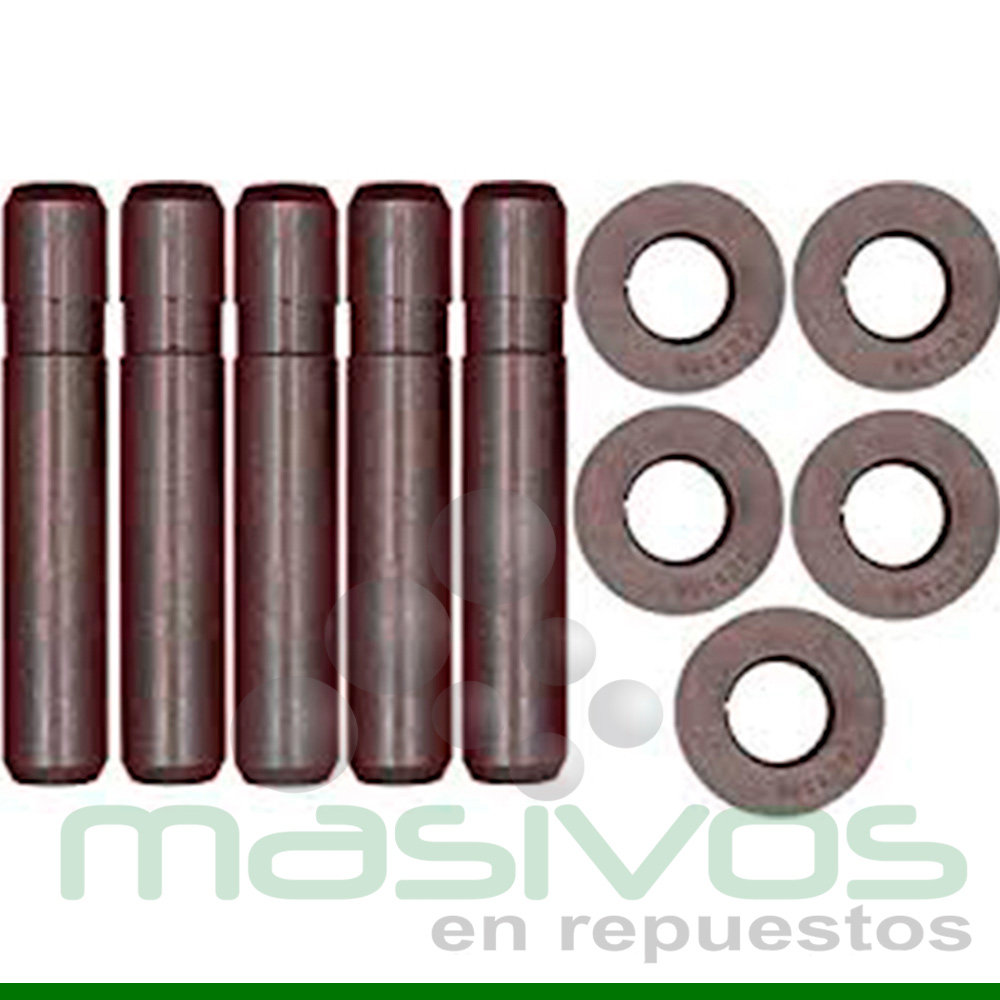 PINES Y RETAINER PARA DIENTES DE TODAS LAS TALLAS